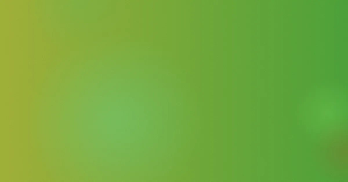 91攻略：和片单工具对比